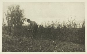 Fekting i Suffolk av Peter Henry Emerson