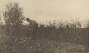  av Peter Henry Emerson