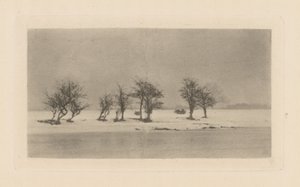 knudrete tornetrær av Peter Henry Emerson