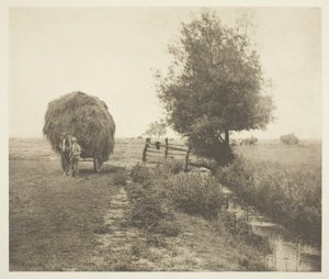 I Haysel (Norfolk) av Peter Henry Emerson