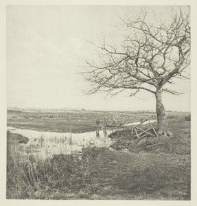 Leafless March (Suffolk) av Peter Henry Emerson