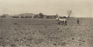 Marsh Farm tidlig på våren, 1890-1891, trykt 1893. av Peter Henry Emerson