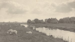Ved elven Bure, 1886. av Peter Henry Emerson