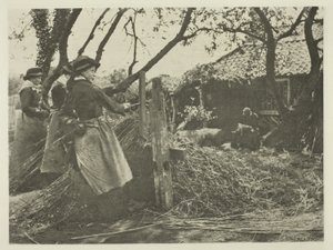 Osier-Peeling (Norfolk) av Peter Henry Emerson