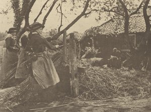  av Peter Henry Emerson