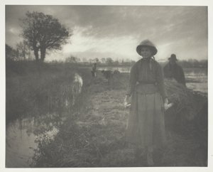 Poling av myrhø av Peter Henry Emerson