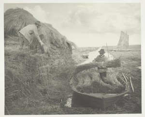 Ricking the Reed av Peter Henry Emerson