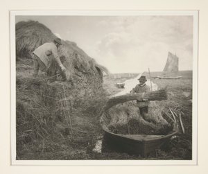 Ricking the Reed av Peter Henry Emerson