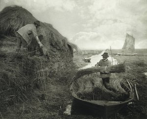 Ricking the Reed, ca. 1885 (platinatrykk)