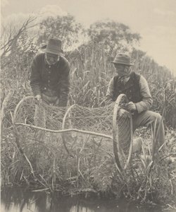 Sette opp buenettet av Peter Henry Emerson