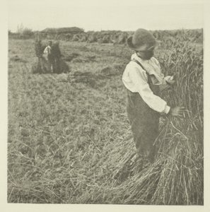 Shocking Corn (Norfolk) av Peter Henry Emerson