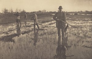  av Peter Henry Emerson