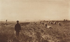 The Marshes i juni, 1890-1891, trykt 1893. av Peter Henry Emerson