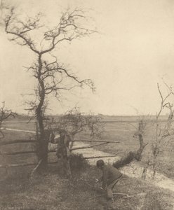 Kvistskjærerne av Peter Henry Emerson