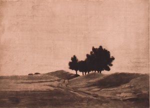 Kveldslandskap