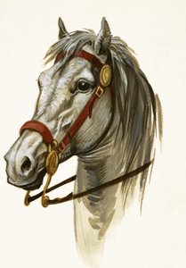 Uidentifisert hest av Peter Jackson