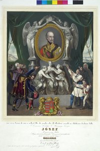 av Peter Johann Nepomuk Geiger