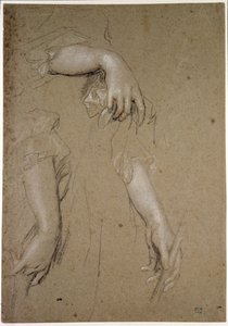 Studies of Hands, 1600-tallet (kritt på papir) av Peter Lely