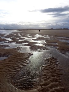 LAVVAND HARTLEPOOL, 2016, (FOTO) av Peter McClure