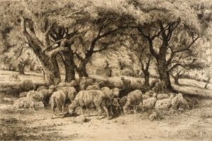  av Peter Moran