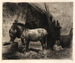  av Peter Moran