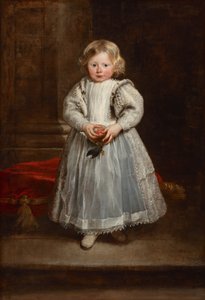  av Peter P. & Dyck Anthony Van (1599-1641) Rubens