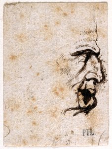 Galba, fra ti tegninger av åtte av de første tolv Cæsarene, etter Giovanni da Cavinos medaljer (penn og blekk på papir) av Peter Paul Rubens