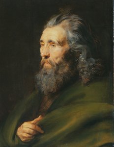 Hovedstudie av en skjegget mann, ca. 1617 av Peter Paul Rubens
