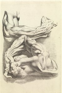 Muskler (gravering) av Peter Paul Rubens