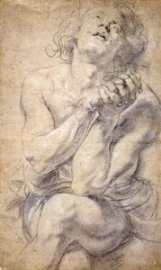 Sittende mannlig ungdom (studie for Daniel) av Peter Paul Rubens