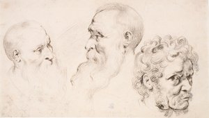  av Peter Paul Rubens