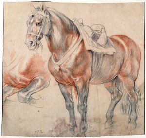 ""en sadelhest"" Akvarell av Pieter Paul Rubens (1577-1640) ca. 1616-1618 Wien Bibliotheque albertina av Peter Paul Rubens