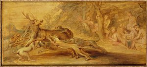 Ukjent bilde av Peter Paul Rubens