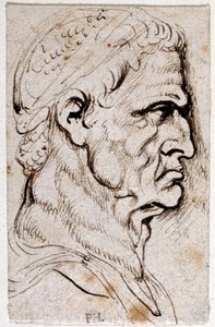 Vespasian, fra ti tegninger av åtte av de første tolv Cæsarene, etter Giovanni da Cavinos medaljer (penn og blekk på papir) av Peter Paul Rubens