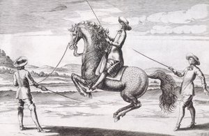 Illustrasjon av en hest en Croupade fra New Treatise for Breeding Horses skrevet av Winters, Stuterey og Reit-Schul, pub. 1672 av Peter Paul Troschel