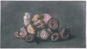 Stilleben av tørkede blomster (farget mezzotint) av Peter Vilhelm Ilsted