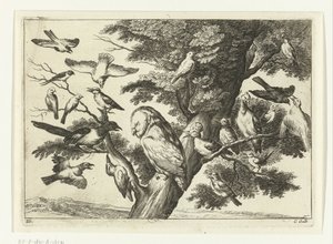Fugler i et tre Diversarum avium arter (serietittel) Forskjellige fugler (serietittel)