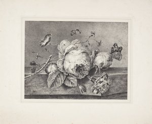 Blomsterstilleben av Petronella van Woensel