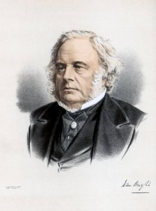 John Bright, britisk radikal og liberal statsmann, c1890. av Petter and Galpin Cassell