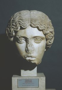 Amazons hode av Phidias Phidias