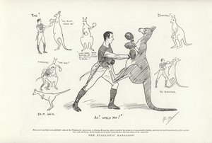 Den pugilistiske kenguruen av Phil May