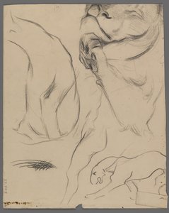 Studier av en løve (grafitt på papir) av Philip H. Wolfrom