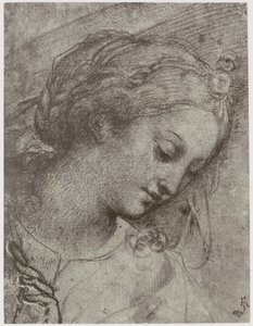 Carlo Dolci, Jomfruens sjef av Philip Henry Delamotte