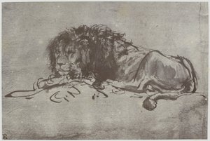 Rembrandt, en løve