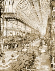Det indre av skipet tatt fra galleriet over Dronningens skjerm i sørenden ca. 1859 (s/hvitt foto)