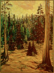 Sommerwald av Philipp Bauknecht