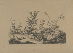 Landskapsstudie med tistler og frosker av Philippe Cardon