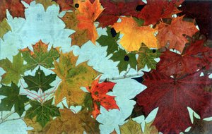 Autumn Leaves, av Philippe Robert, Robert Ried-utgaver
