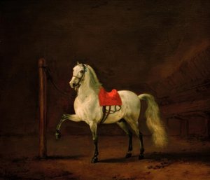 En hvit hest i stallen av Philips Wouwerman