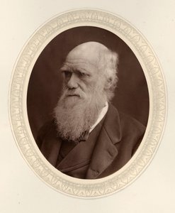 Portrett av Charles Darwin 1809-1882, 1877. av Photo studio Lock and Whitfield